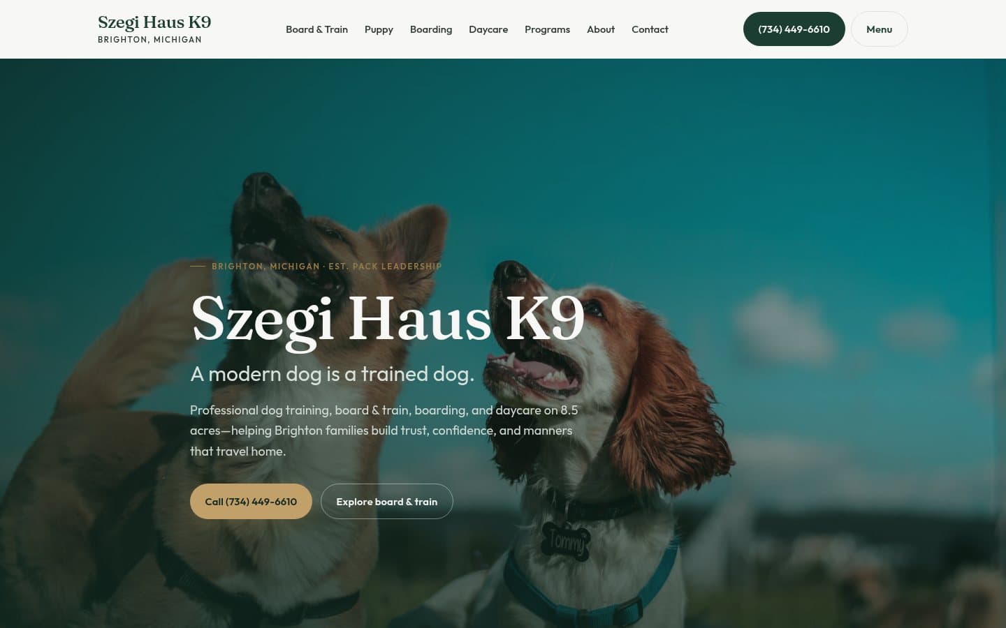 Szegi Haus K9 website screenshot